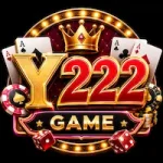 Y222 Game