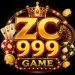ZC999 Game